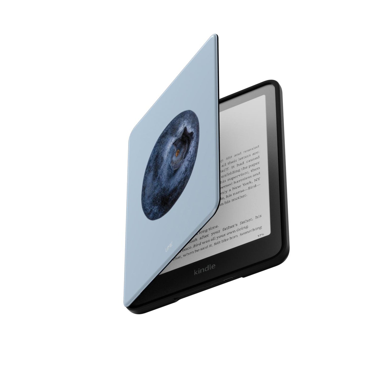 BLUEBERRY - KINDLE